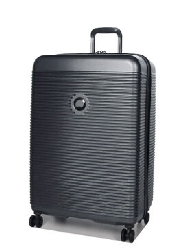 Valise Delsey Paris